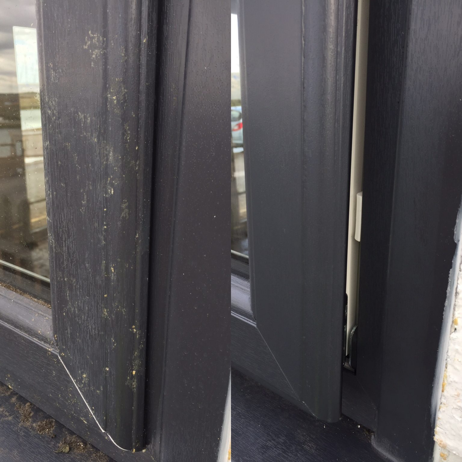 Damaged Window Frame